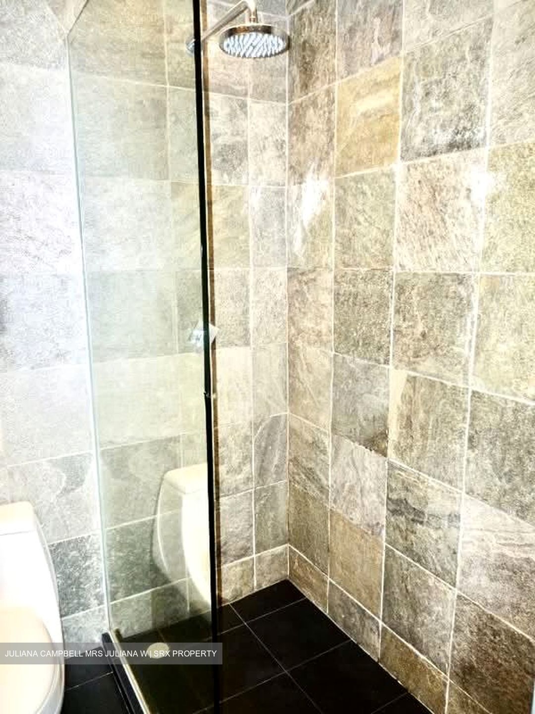 Nineteen Shelford Road (D11), Condominium #574146161